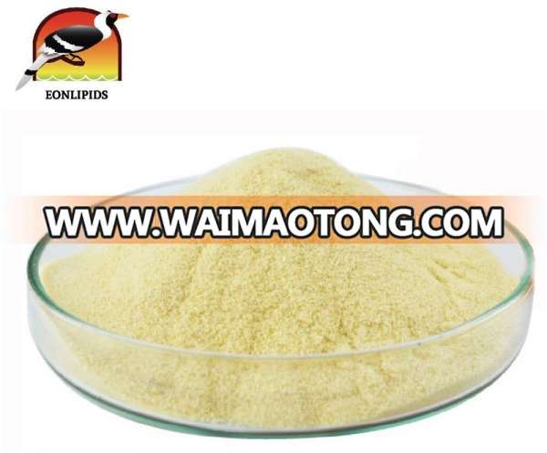 Best Quality Natural Halal Cheddar Cheese Seasoning Powder