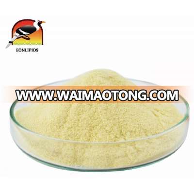 Best Quality Natural Halal Cheddar Cheese Seasoning Powder